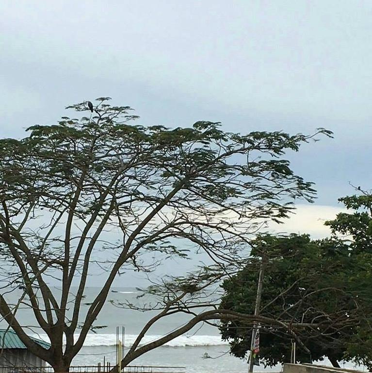 Gold Coast Resort Weligama Exterior foto